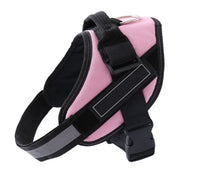 Adjustable Pet Harness
