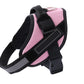 Adjustable Pet Harness For Dog Vest ID Custom Patch Outdoor Walking Dog Supplies