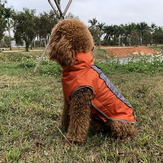 Pet Clothes Autumn And Winter