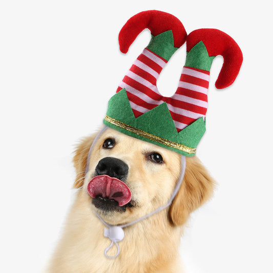 Golden retriever wearing a Pet Christmas Funny striped clown hat accessory
