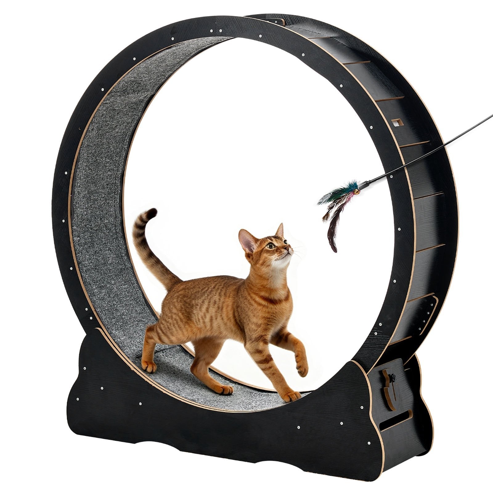 Black wooden cat exercise wheel with carpeted track for indoor cats up to 28 lbs