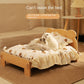Cat Bed