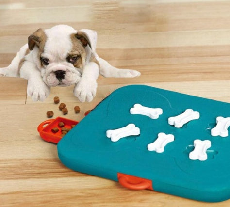 Pet Casino Treasure Hunt