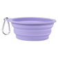 Silicone Foldable Bowl