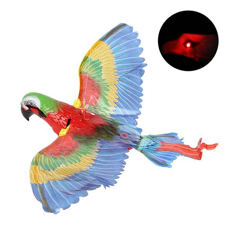 Simulation Bird Cat