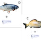 Electric Fish Toy