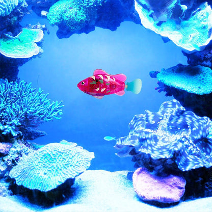 Pet Fish Electronic