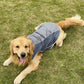 Pet Clothes Autumn And Winter