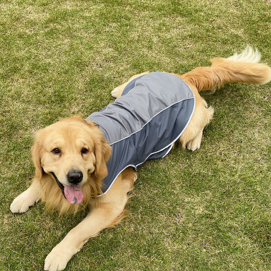 Pet Clothes Autumn And Winter