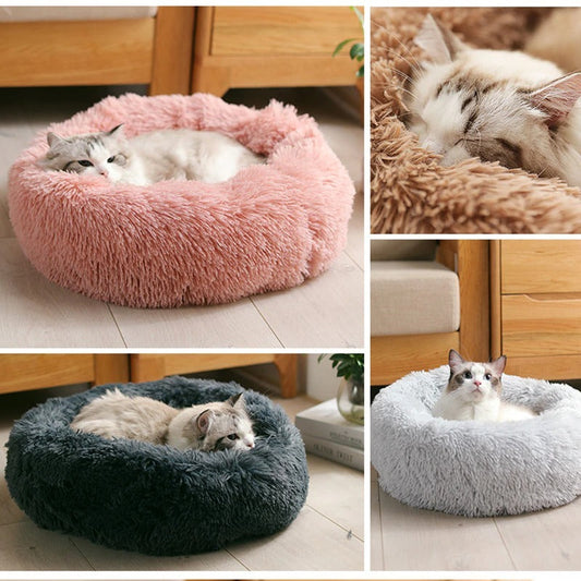 Dog Bed
