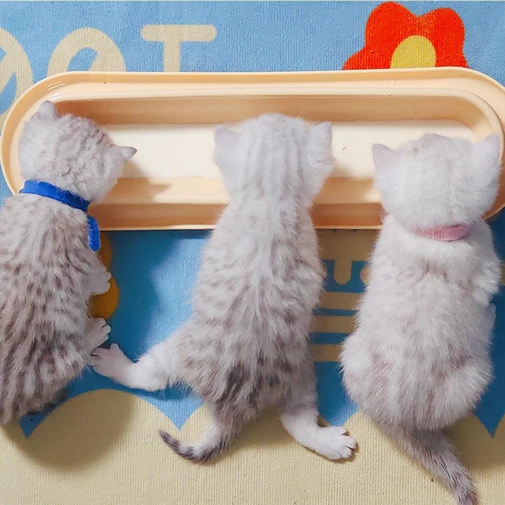 Pet Bowls