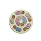 Dog Puzzle Toys