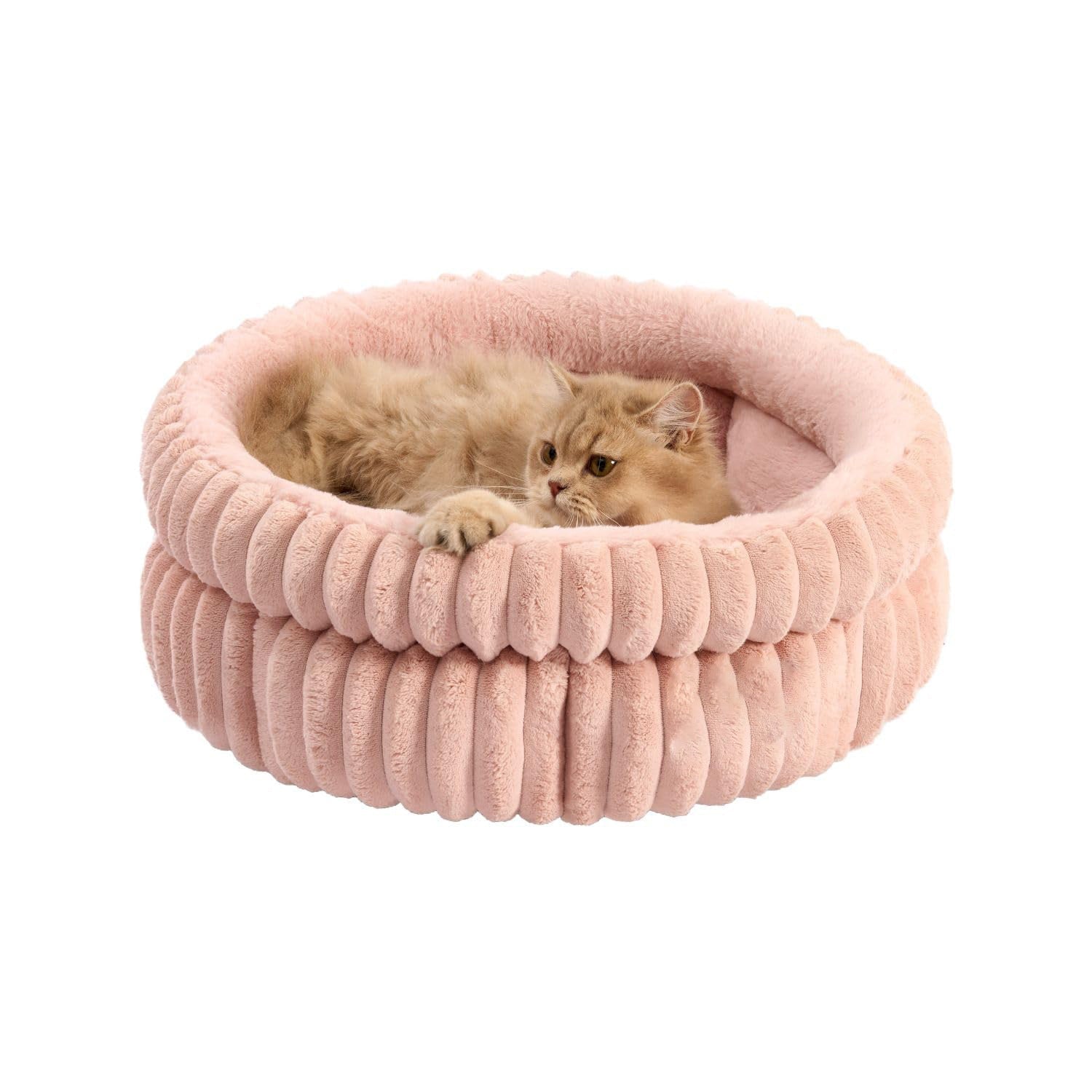 Cat Bed Kitten Bed