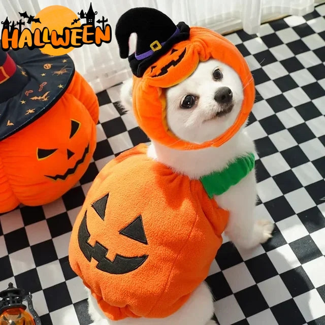 Halloween Pumpkin Vest in orange plush fabric with a jack-o’-lantern face, matching pumpkin hood and black witch hat