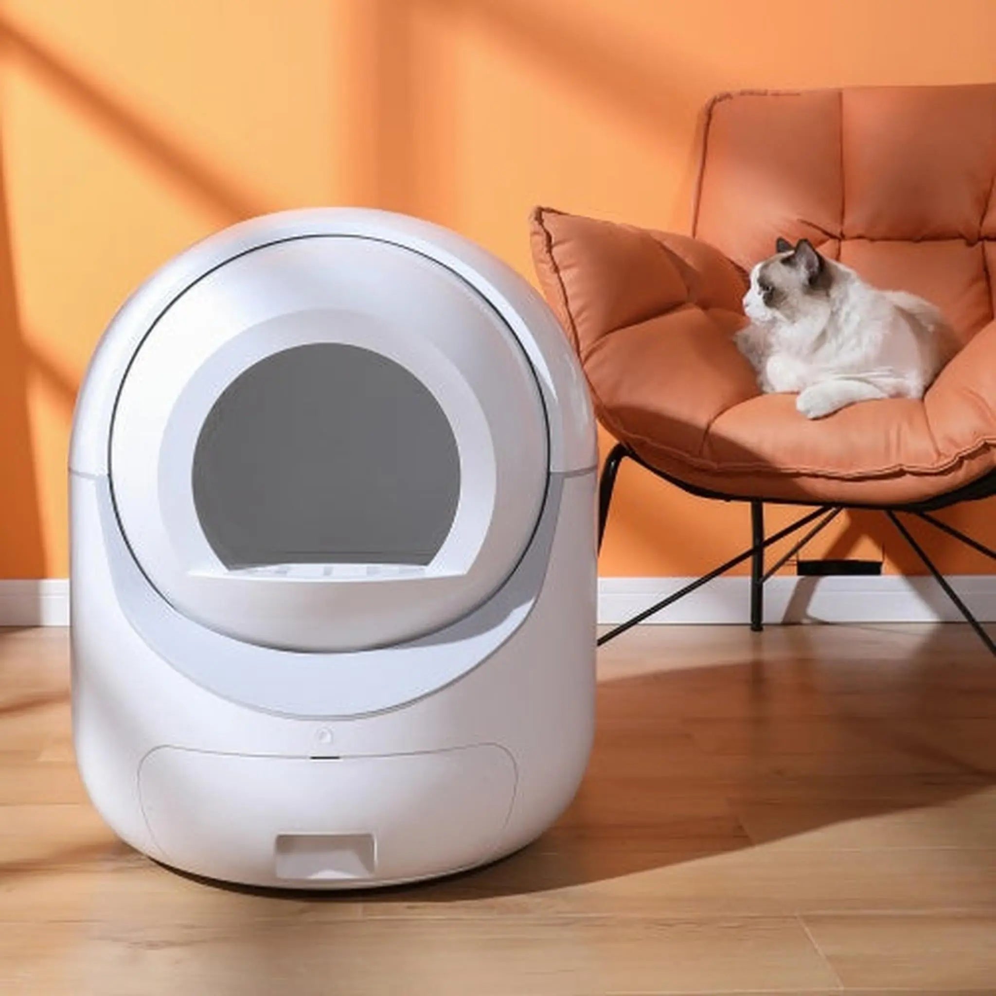 Smart automatic litter box with WiFi control and self-cleaning feature, ideal for modern pet owners.