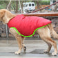 Winter Cotton Coat