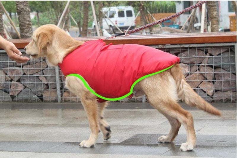 Winter Cotton Coat