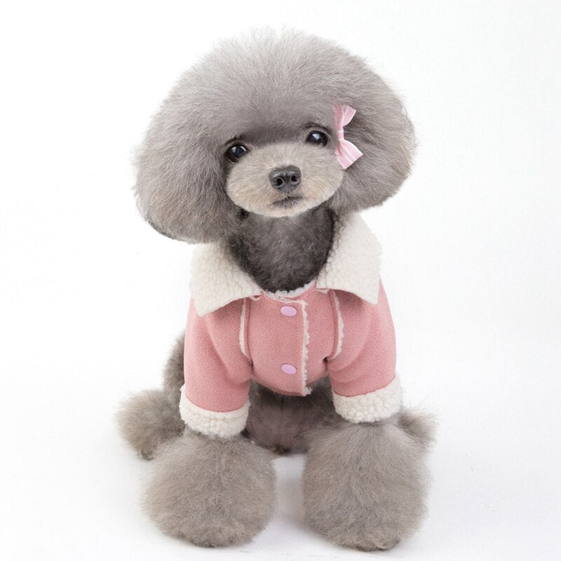 Cute Dog Clothes