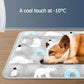 Pet ice pad