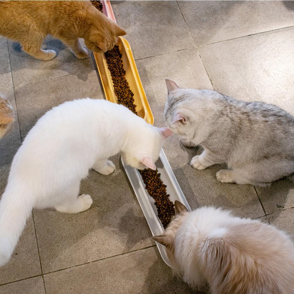 Pet Bowls
