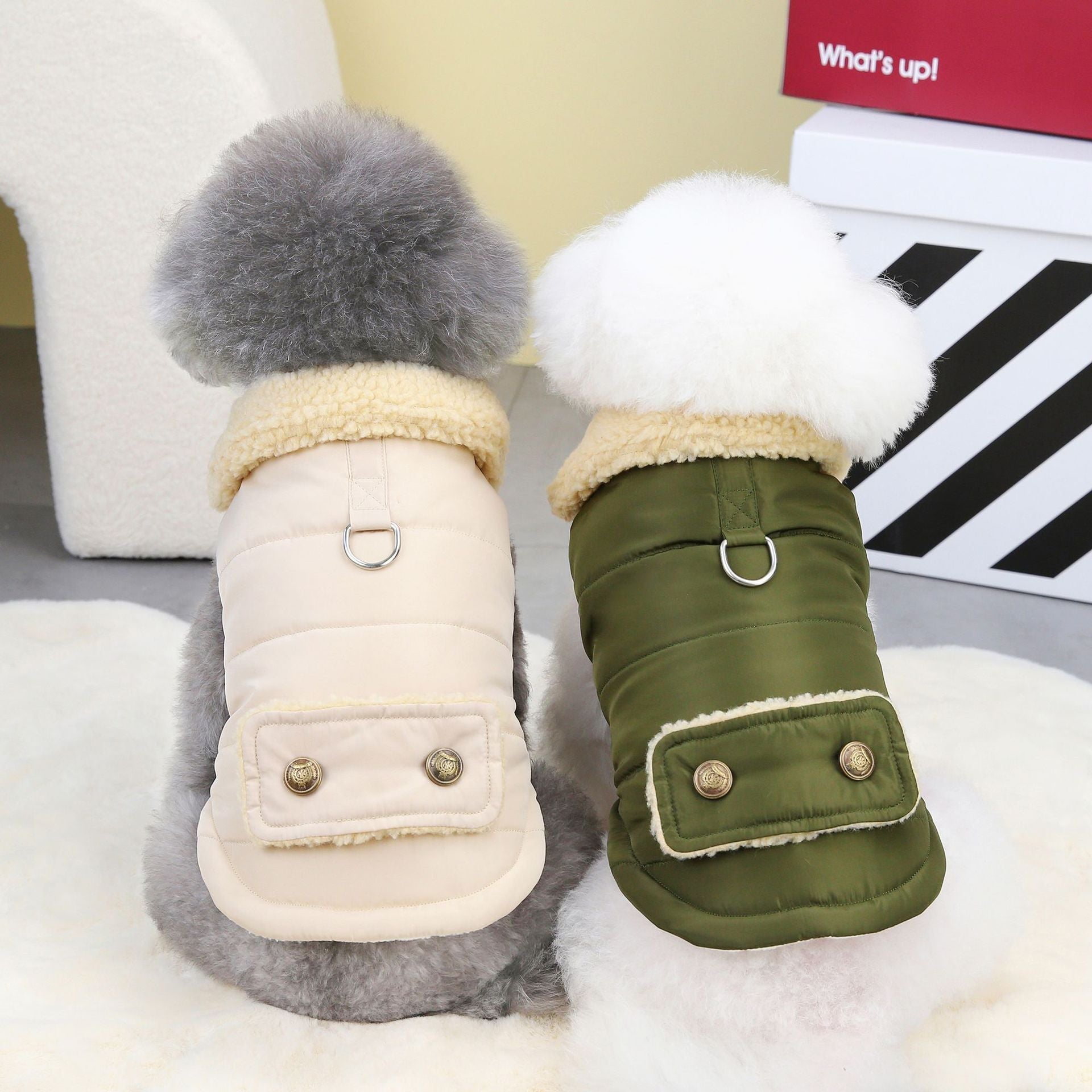 Teddy Cat Nordic Fur Collar