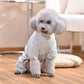 Dog Fashion Outdoor