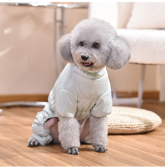 Dog Fashion Outdoor