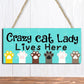 Pet Accessories