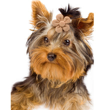 Pet Headdress Flower