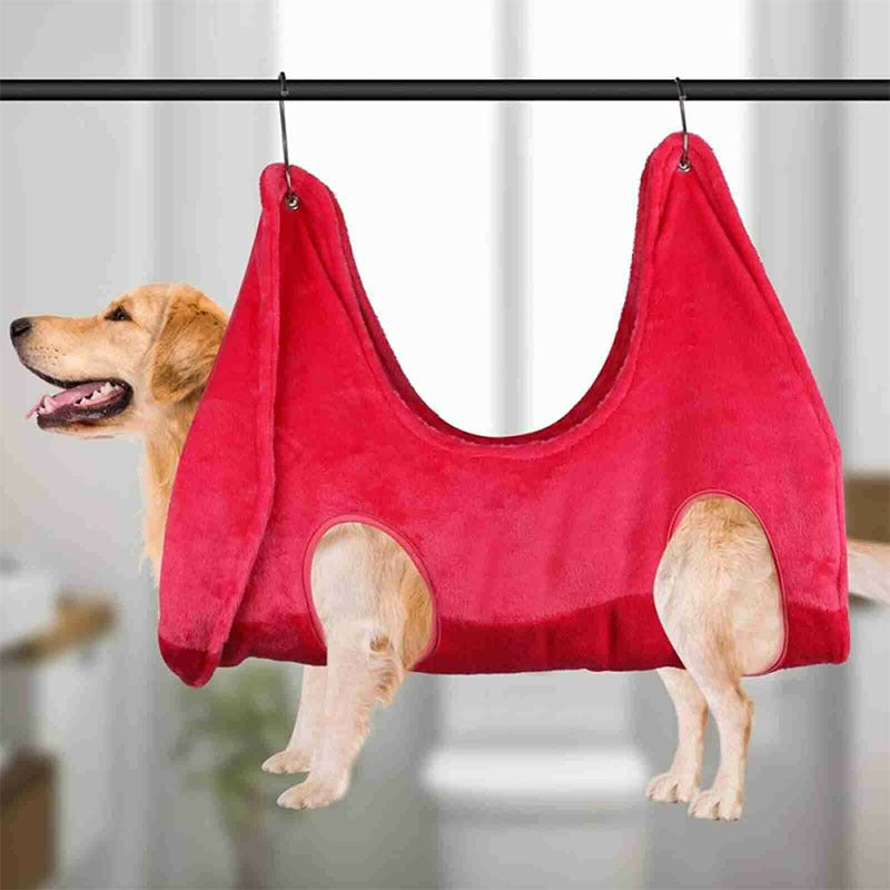Dog Cat Grooming