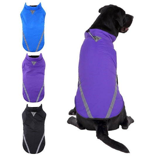 Jackets large dog