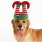 Pet Christmas Funny