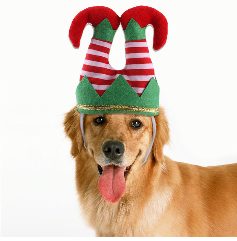 Pet Christmas Funny