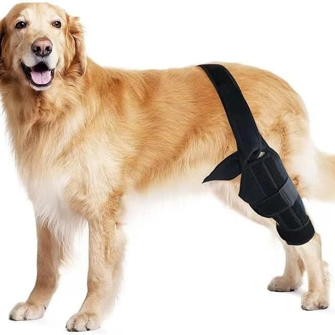 Pet Protective Gear Dog Leg Injury Assistance Support Bar Rehabilitation Training Belt