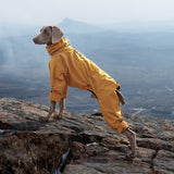 Large Dog Four-leg Shell Jacket