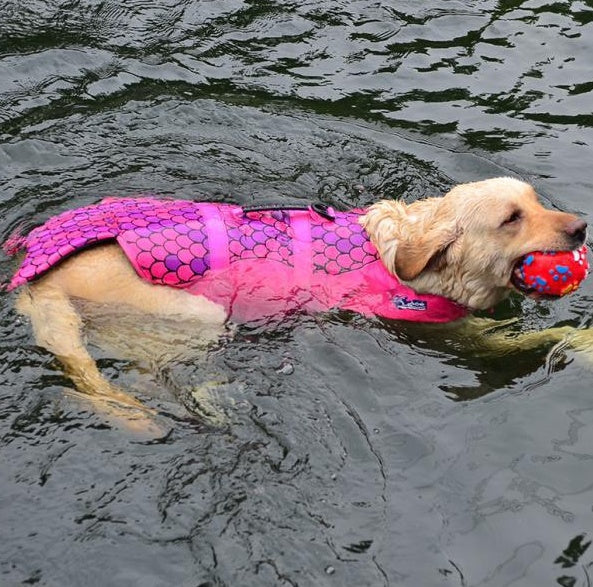 Outdoor Life Jackets