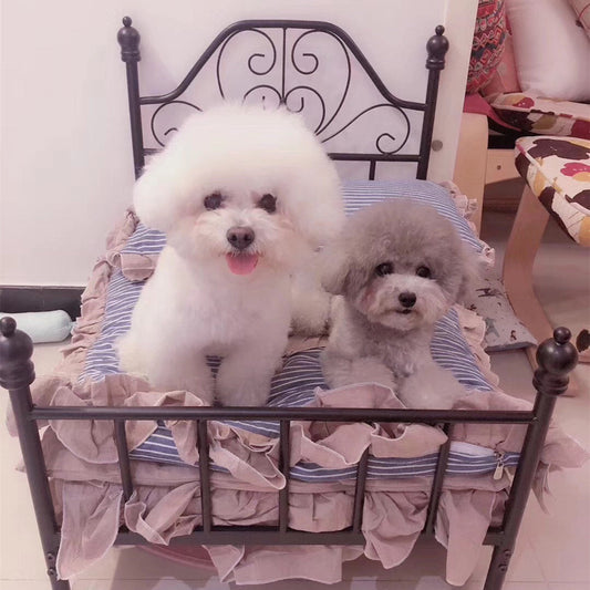 Dog Kennel