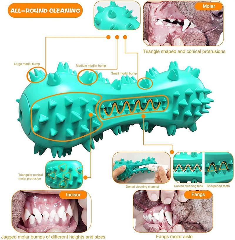 Pet Dog Cleaning