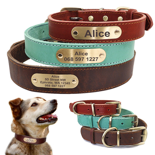 Personalized Dog Collars
