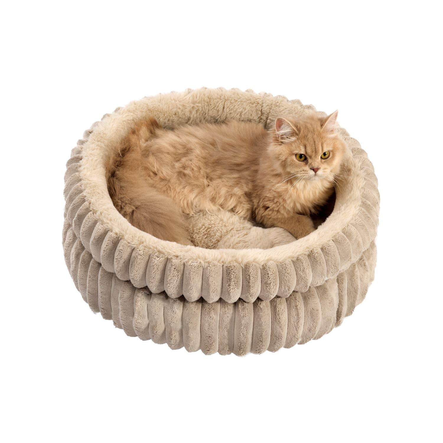 Cat Bed Kitten Bed