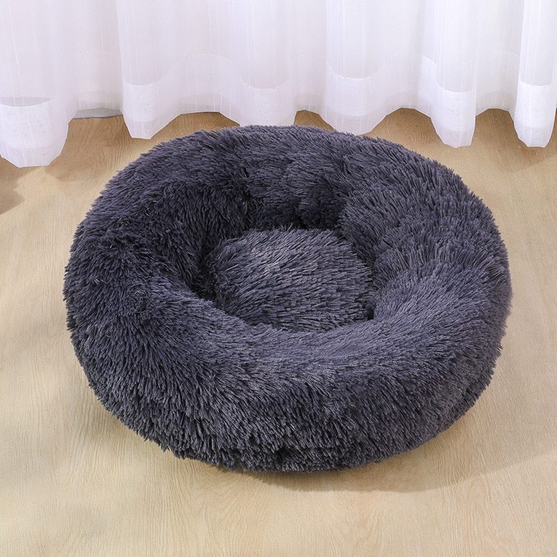 Dog Bed