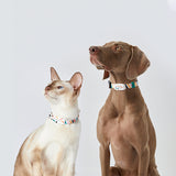 Pet Smart Wearable Bluetooth Device Cat Brand Dog Brand