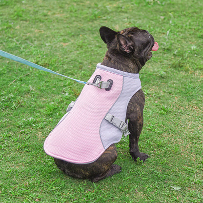 Summer Pet Outdoor Breathable