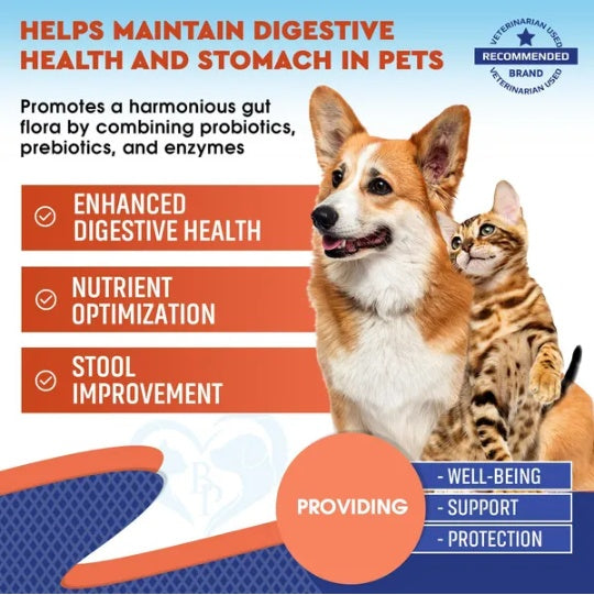 Probiotics Prebiotics With Enzymes