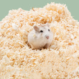 | Poplar Hamster Bedding | Poplar Wood Shavings | Hamster Wood Bedding |
Pet Poplar Shavings | Natural Hamster Bedding |