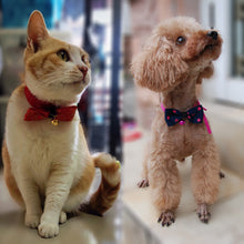 pet accessories pet bow