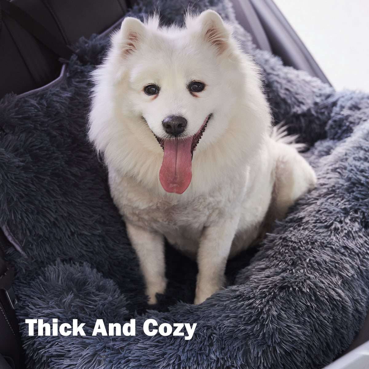 small dog car seat