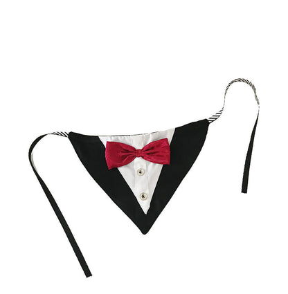 Dog Triangle Bandana