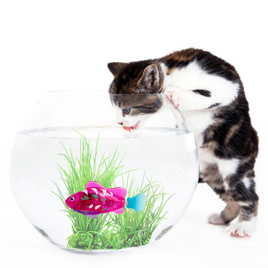 Pet Fish Electronic
