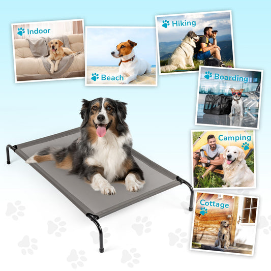 Elevated Dog Bed